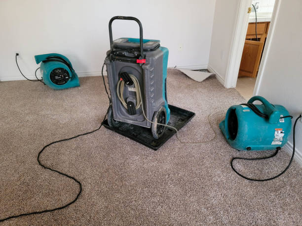 Best 24-hour water damage restoration  in St Robert, MO