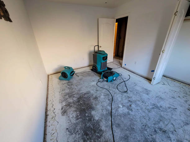 Best Water damage contractors near me  in St Robert, MO