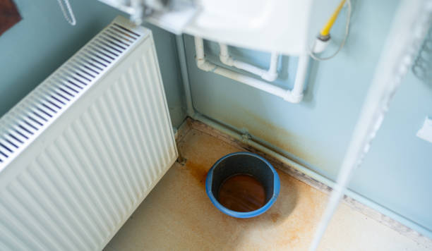 Best Ceiling water damage repair  in St Robert, MO