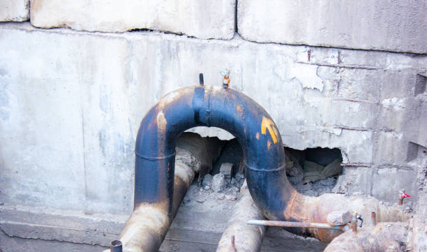 Best Water damage cleanup near me  in St Robert, MO